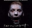rammstein sehnsucht cover